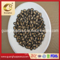 Hot Sales and Best Taste Watermelon Seeds